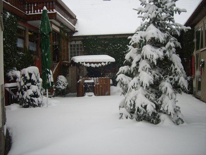 Hotel Schwarzes Ross Schwarzach am Main Εξωτερικό φωτογραφία