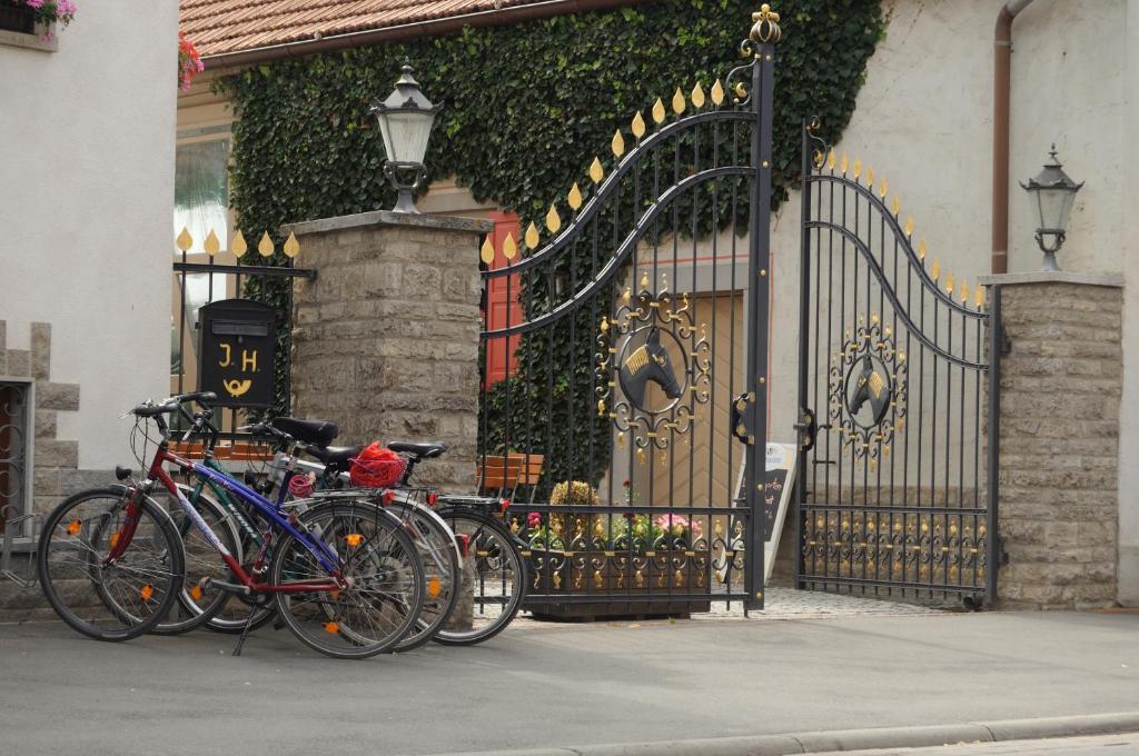 Hotel Schwarzes Ross Schwarzach am Main Εξωτερικό φωτογραφία